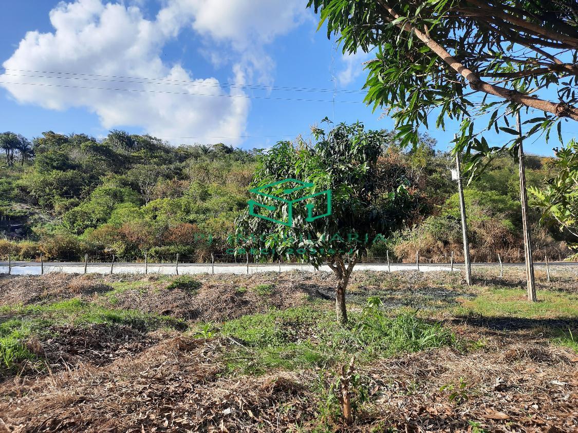 Loteamento e Condomínio, 5 hectares - Foto 10