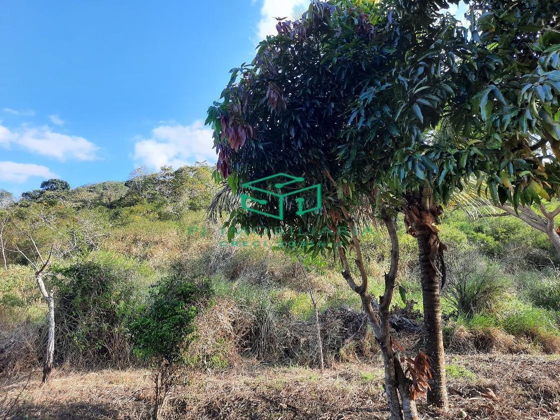 Loteamento e Condomínio, 5 hectares - Foto 8