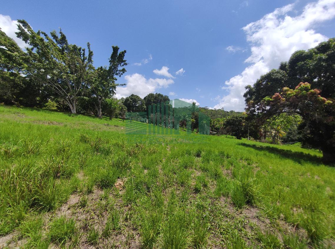 Loteamento e Condomínio, 4 hectares - Foto 10