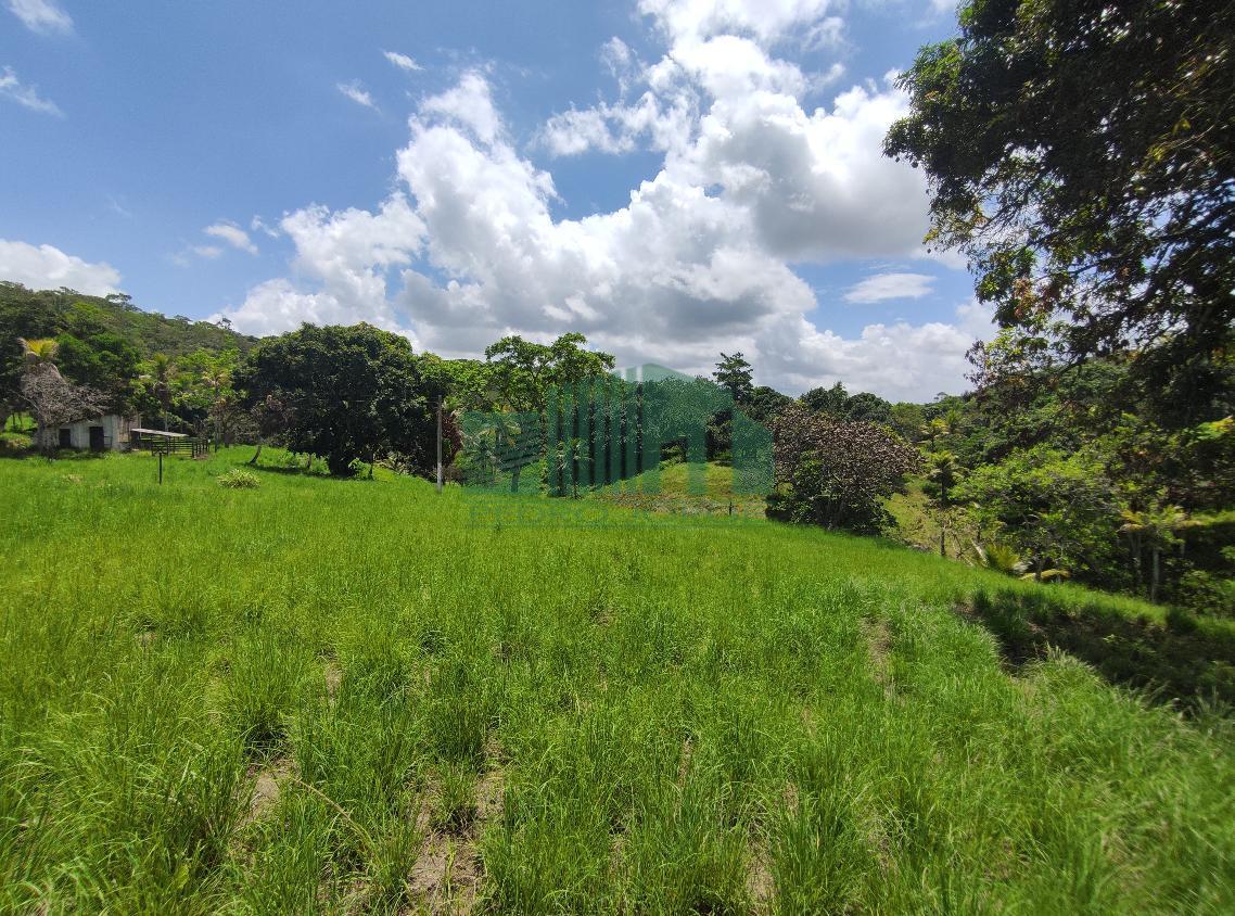 Loteamento e Condomínio, 4 hectares - Foto 11