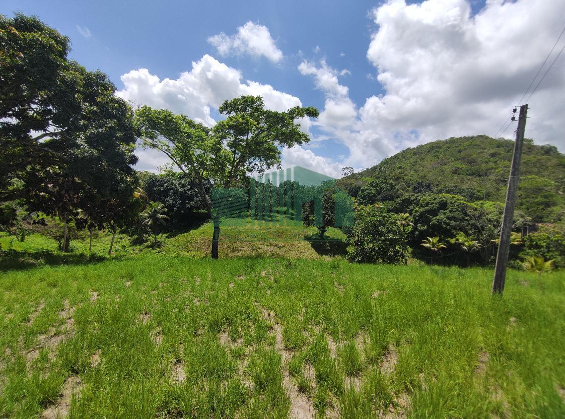 Loteamento e Condomínio, 4 hectares - Foto 12