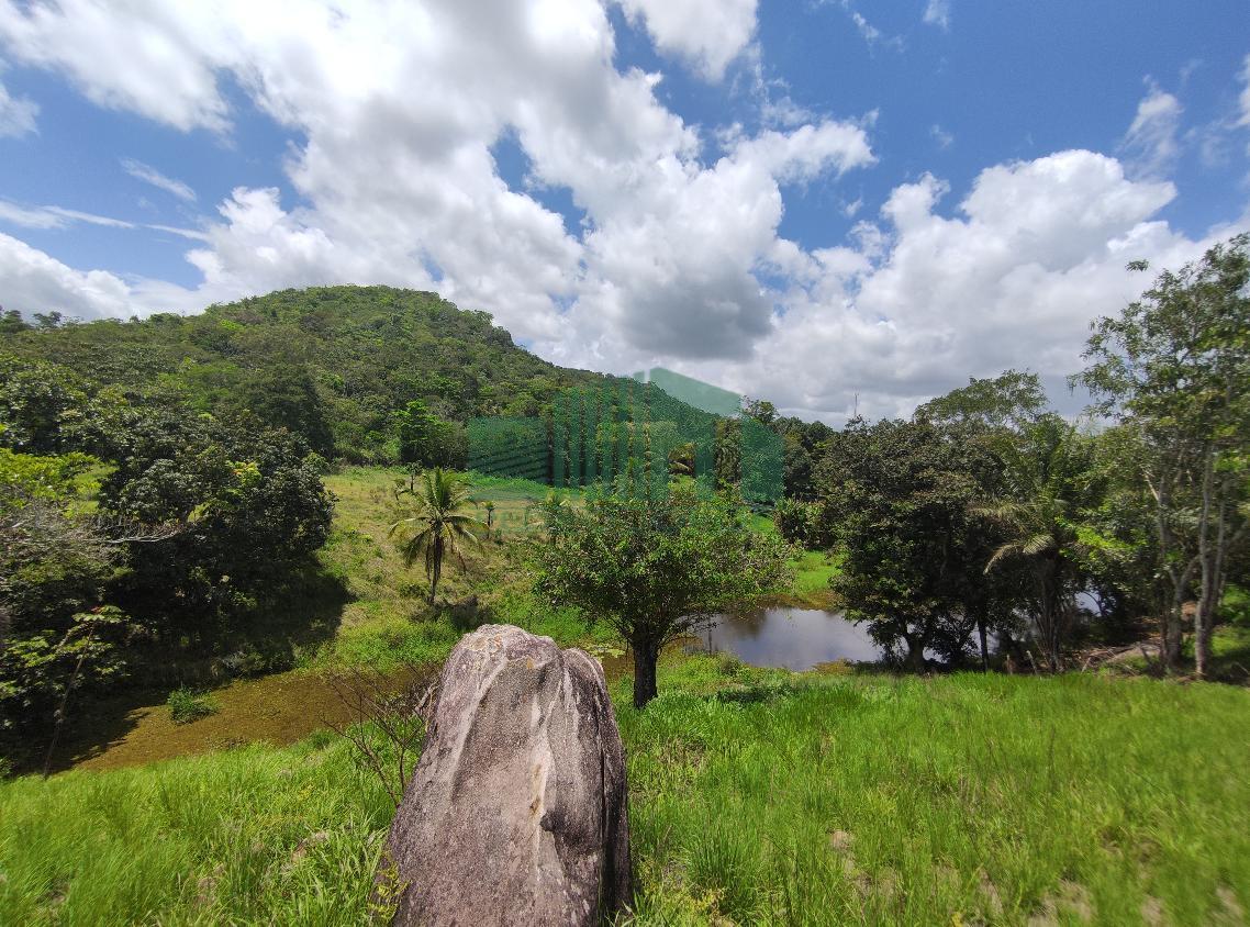 Loteamento e Condomínio, 4 hectares - Foto 7