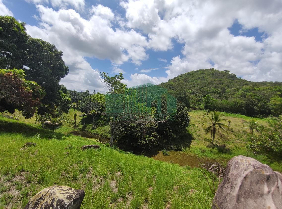 Loteamento e Condomínio, 4 hectares - Foto 8