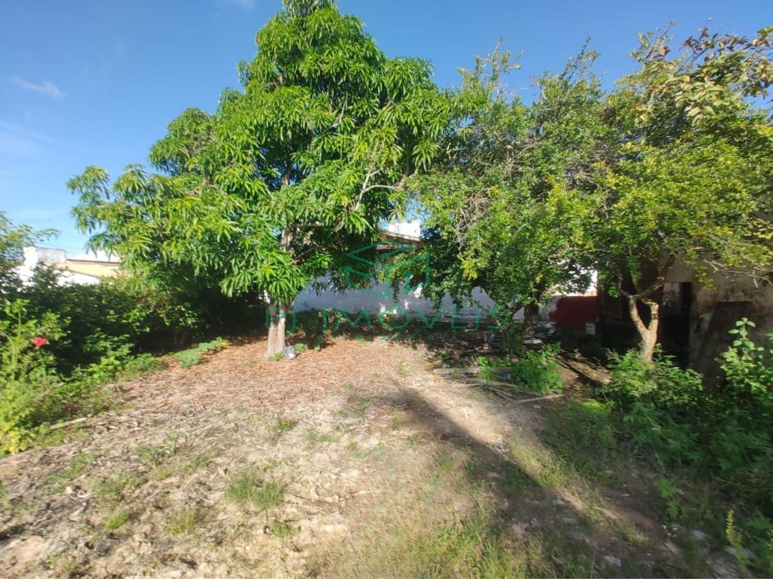 Casa, 4 quartos, 200 m² - Foto 13