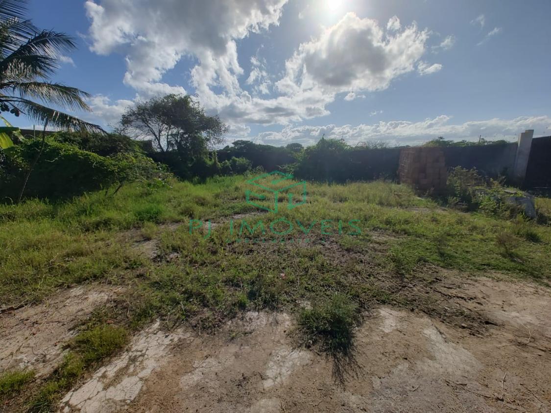 Casa, 4 quartos, 200 m² - Foto 14