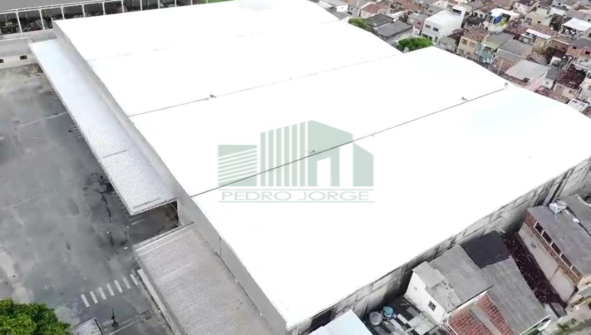 Depósito-Galpão - Foto 10