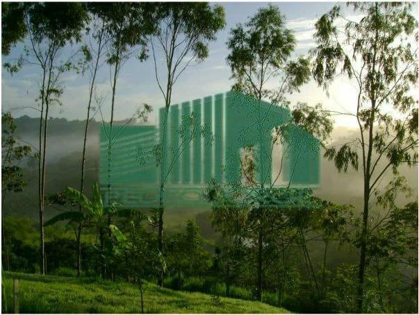 Terreno, 1000 m² - Foto 8