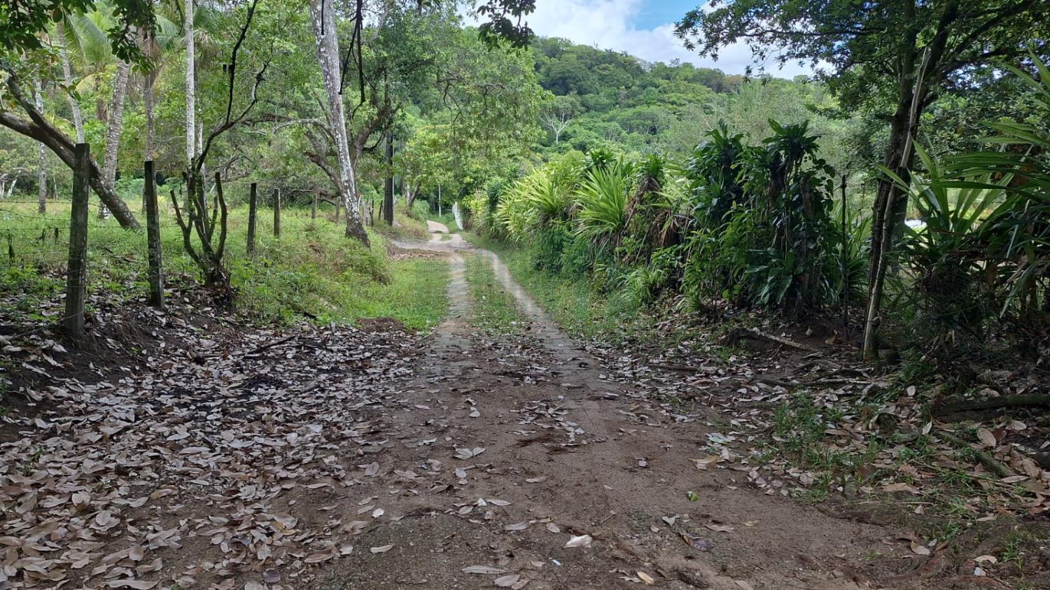 Fazenda, 5000 m² - Foto 11