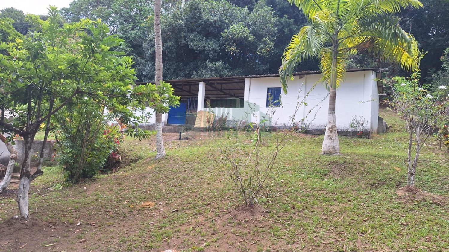 Fazenda, 5000 m² - Foto 4