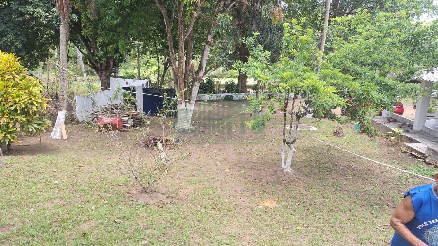 Fazenda, 5000 m² - Foto 6