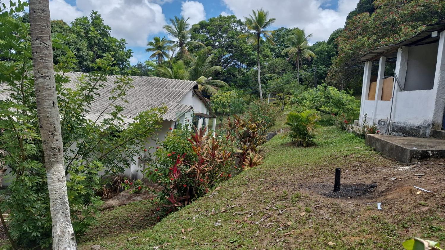 Fazenda, 5000 m² - Foto 7