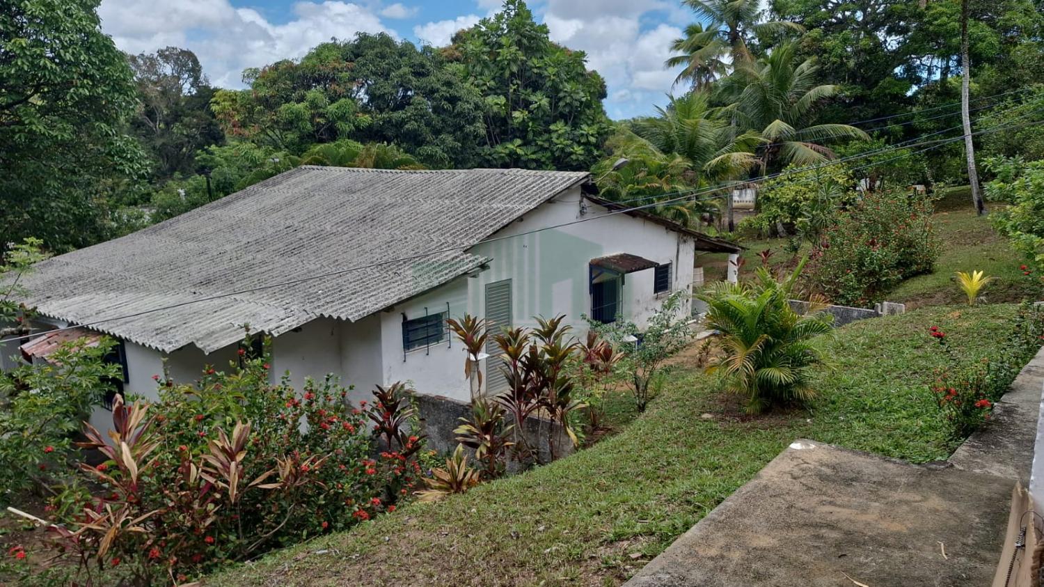 Fazenda, 5000 m² - Foto 8