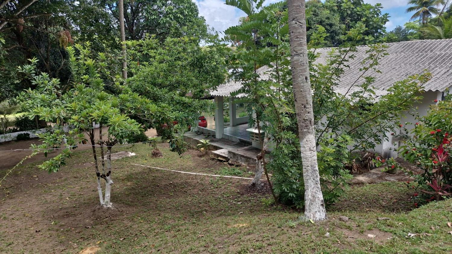 Fazenda, 5000 m² - Foto 9
