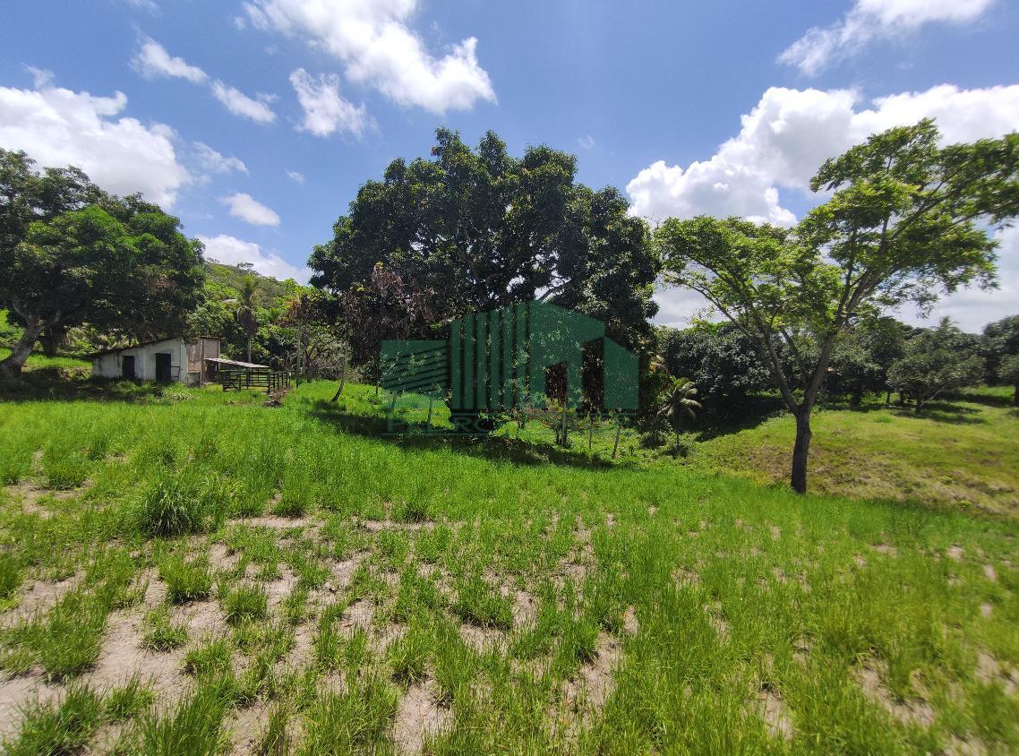 Loteamento e Condomínio, 4 hectares - Foto 13