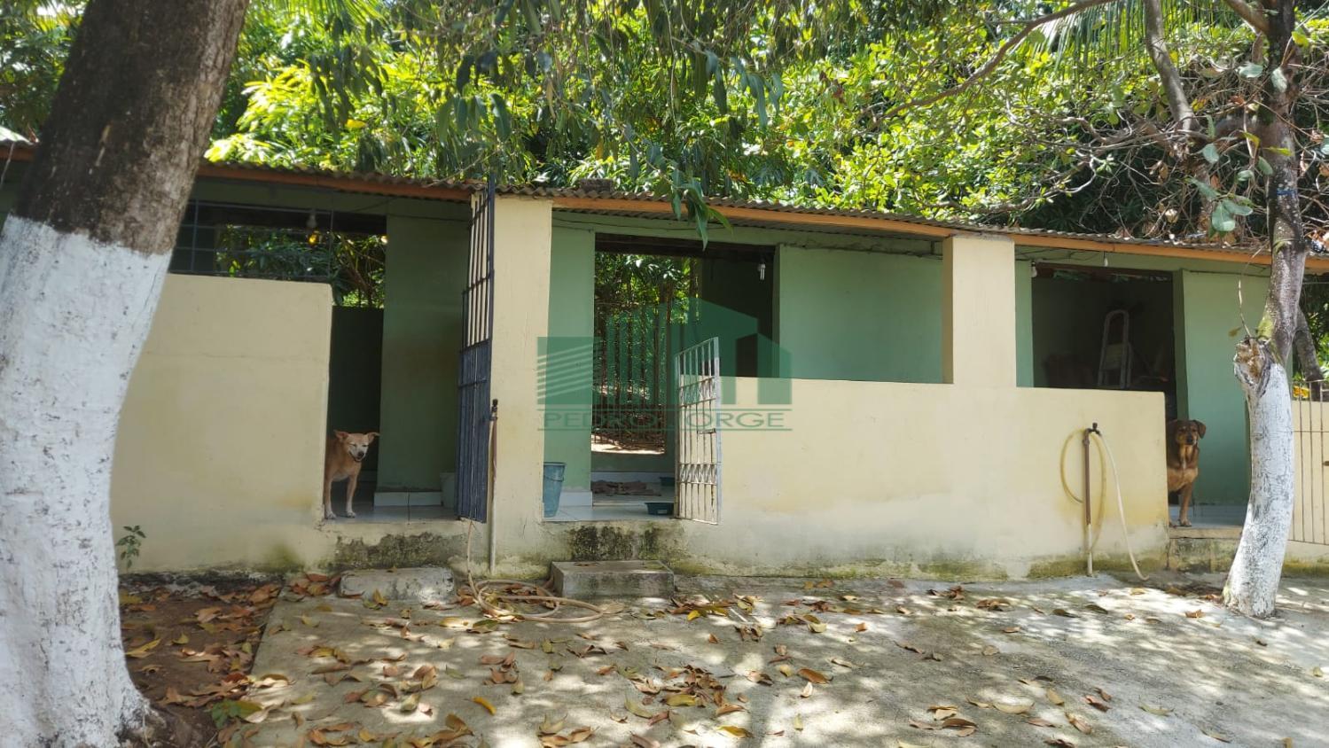 Fazenda, 4200 m² - Foto 6