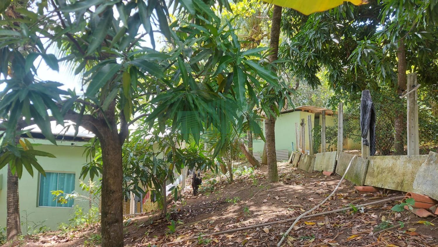 Fazenda, 4200 m² - Foto 8