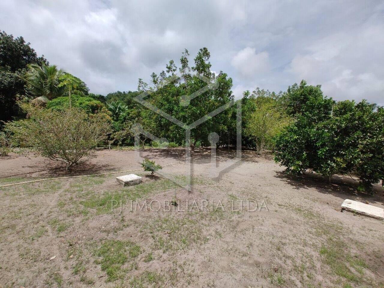 Fazenda, 3800 m² - Foto 15