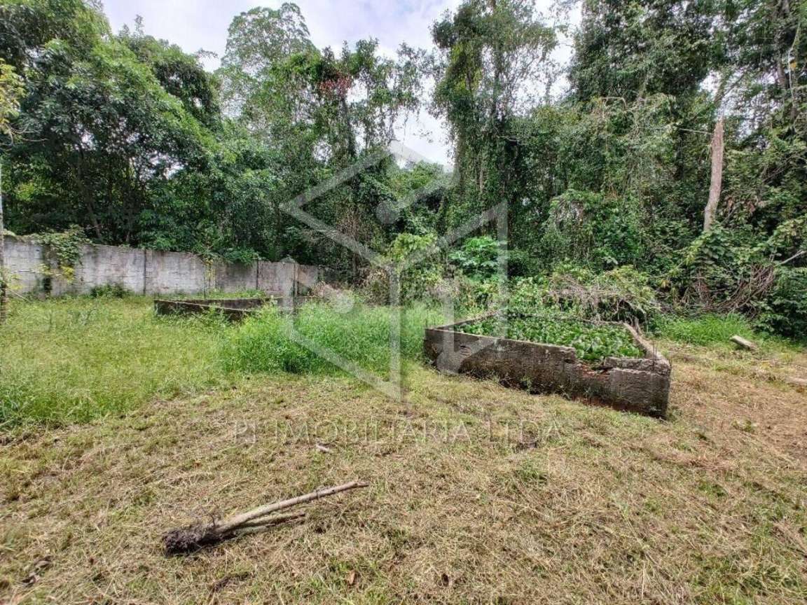 Fazenda, 3800 m² - Foto 14