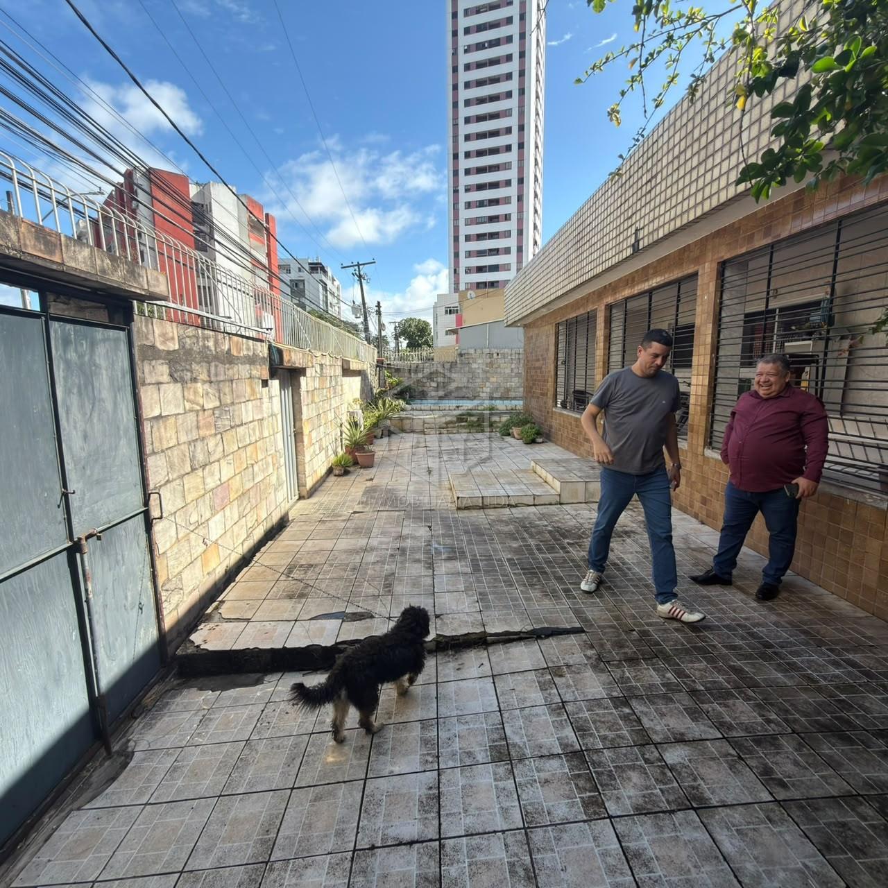 Casa, 3 quartos, 185 m² - Foto 6