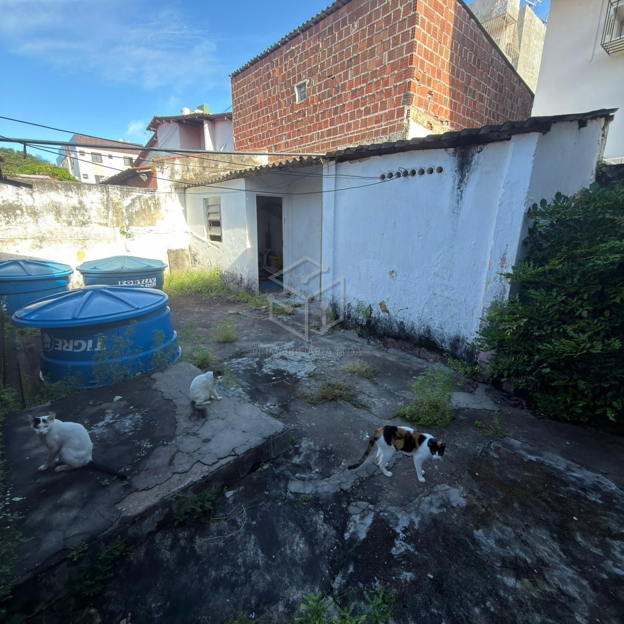 Casa, 4 quartos - Foto 6