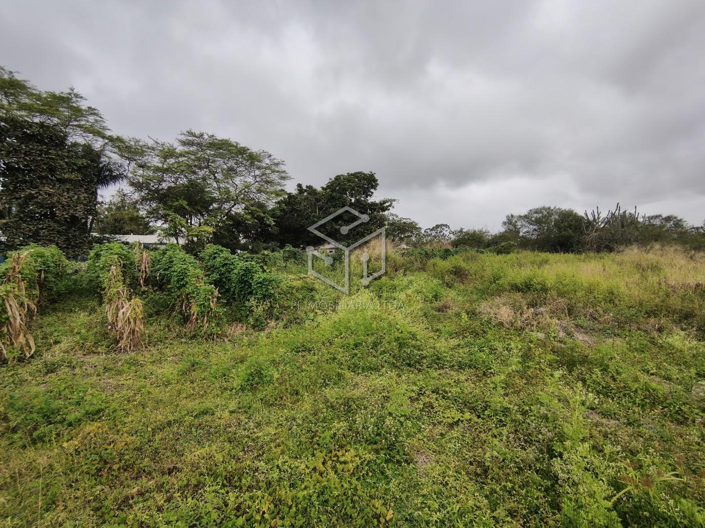 Casa, 4 quartos, 200 m² - Foto 31