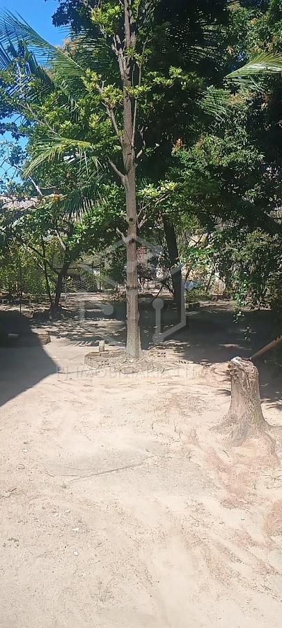 Casa, 4 quartos - Foto 41